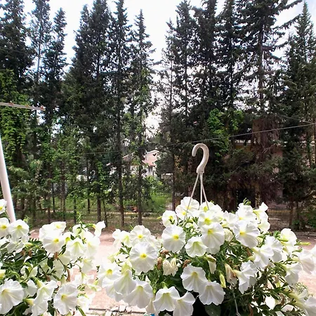 Trn 아파트 골렘