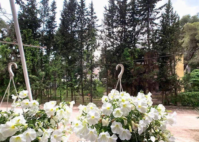 Trn 아파트 골렘